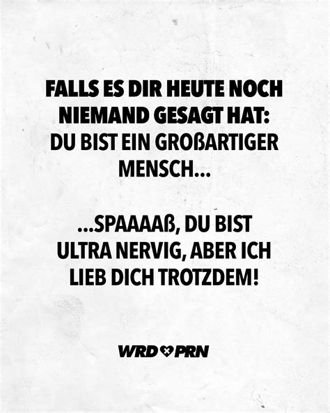 falls es dir heute noch niemand gesagt hat